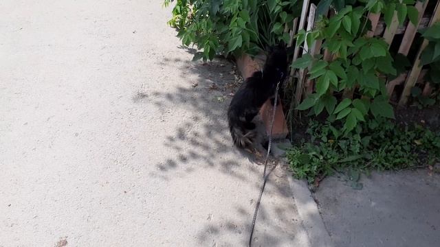 Возле соседнего подьезда.
