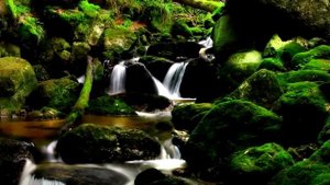 JARUHA - Słowiańska mantra pomyślności, Славянская мантра процветания, Slavic mantra of weal