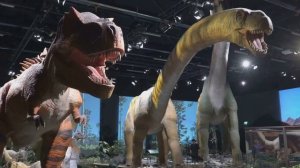 DinoChronicles: Трицератопс Трехрогий гигант прошлого
