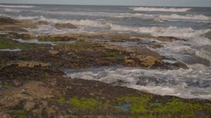 Эта песня станет вашим личным гимном свободы и любви в пути - Self-indulgent Is Not An Insult -- One