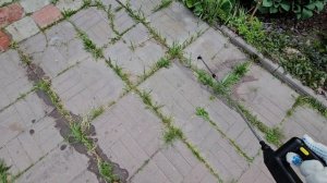 тест от травы в межплиточных швах 💁🏼♀️