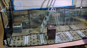 Аквариум с гнутым стеклом_ Арована