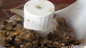 Картофельная запеканка с грибами и помидорами