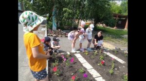 Есть на свете цветок