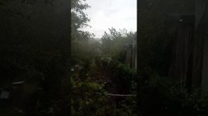 1000030013.mp4 .14 июня 2025 года. Чудеса природы.