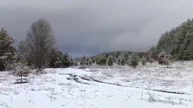 Pogoda v Sibiri Сказочная_атмосфера_—_волшебство_зимнего_леса