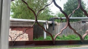 The weather outside the window in our village: приближение теплого дождя