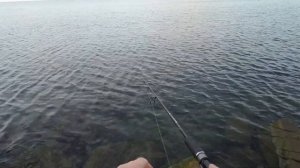 Морская рыбалка в Джубге: летний клёв на Чёрном море!