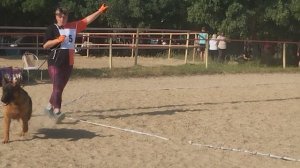 ЩЕНКИ КОБЕЛИ / КЧК НОВОРОССИЙСК 13 июня`25 Ю.Овсянникова Моно немецких овчарок