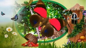 Готовый проект Лето для Proschow Produser