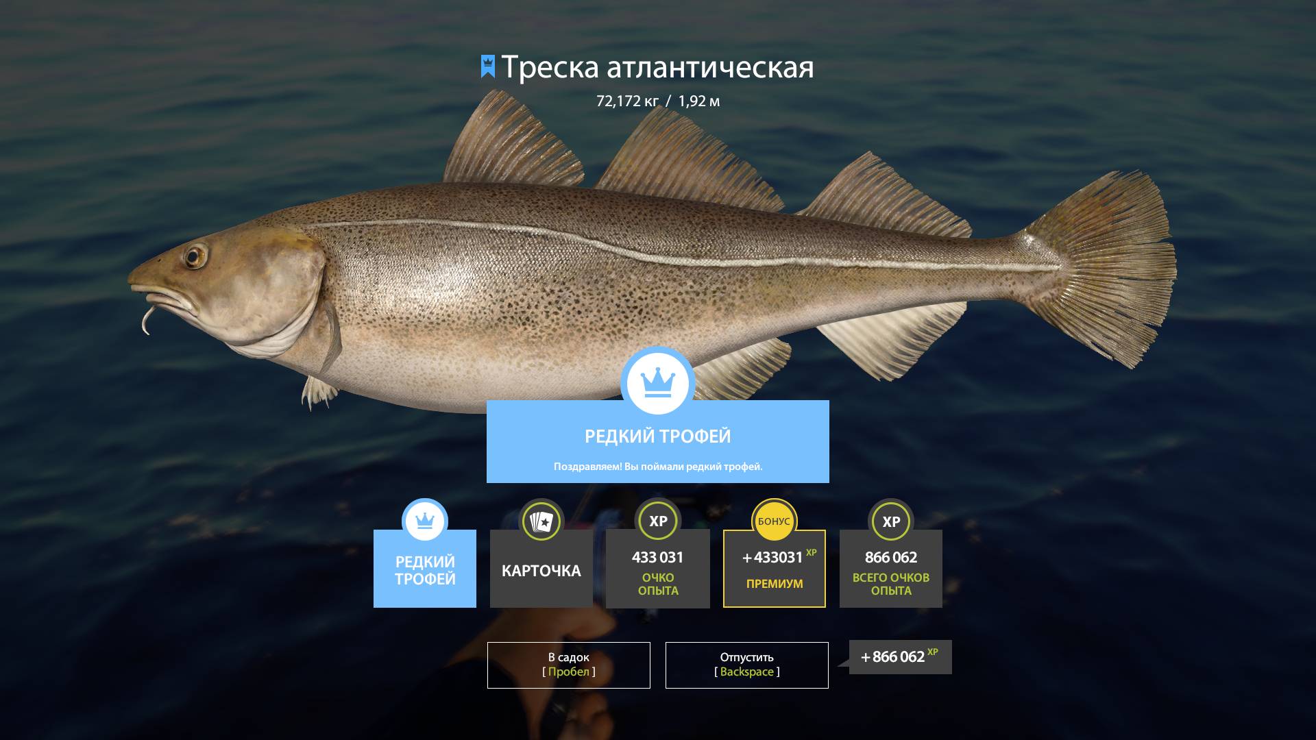 Русская рыбалка 4. Норвежское море. 41 банка ТФ 7-007 3 шт. смотреть онлайн