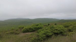 Русский остров -вело 1 июня 2025