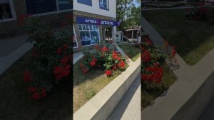 Анапа / Витязево / сходили на валдберис / июнь 2025