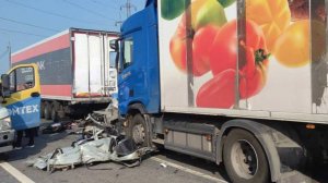 Четыре человека погибли в массовом ДТП под Самарой