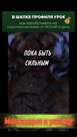 мотивация на хорошую жизнь (16)