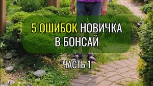 5 ошибок новичка в #бонсай . Часть 1
