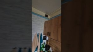 Не только про бизнес в Сочи 5