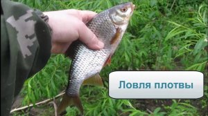Ловля плотвы. Поплавок и донка