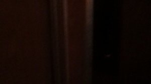 Лифт КМЗ под. №6 @ Т.О. г. Тула, ул. Новомосковская, д. 27-6 (10)