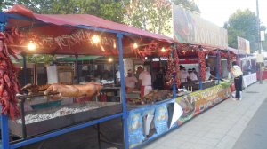 Роштилиада - фестиваль мяса в Сербии. Президент Вучич, танцы, музыка и лучшая плескавица