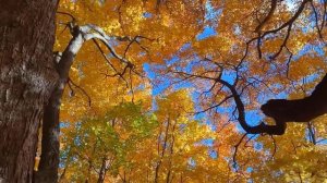 Однажды всё проходит безвозвратно стихи - Ирины Самариной-Лабиринт