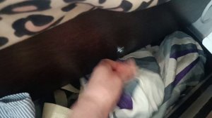 Из не нужных вещей нужные