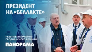 Лукашенко: любая страна должна накормить своих людей. Панорама