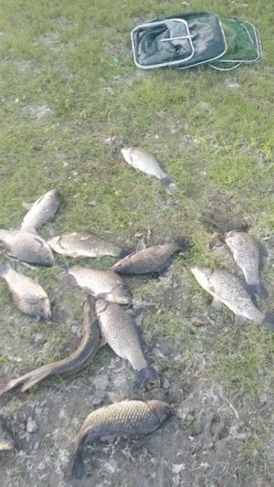 Рыбалка в Астраханской области, вблизи села Селитренного Харабалинского района.Апрель 2025
