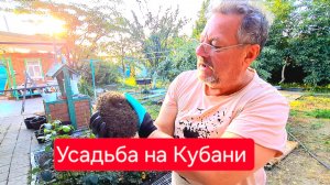 541 🏠 Жизнь в станице на Кубани. Весь день в работе. Мы его спасли.