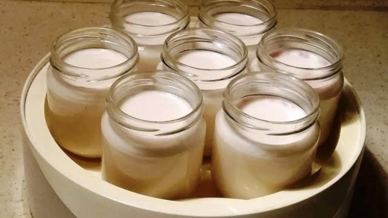 Домашний йогурт на закваске в йогуртнице. Делаю из магазинного молока, всегда получается!