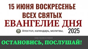 15 июня воскресенье Евангелие дня 2025 с толкованием #евангелие