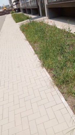 Утро