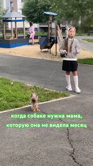 Мама вернулась из отпуска ☀️ #наморенамашине #наморе #море2024 смотреть онлайн