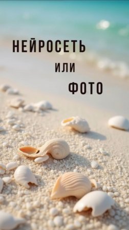 Нейросеть или реальные фото?