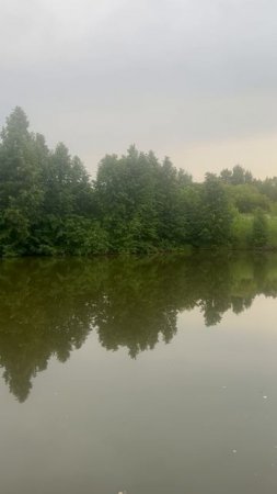 Летний вечер
