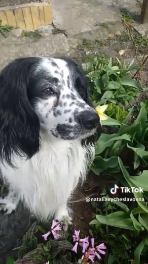 Любитель природы...)))