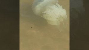 Кучугуры,Азовское море