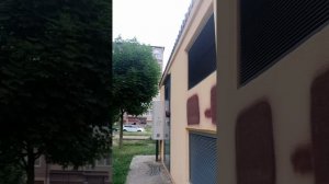 игра в лису