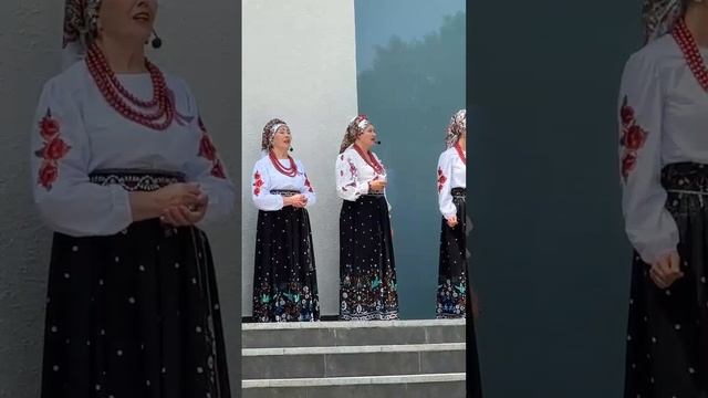 "На скамеечке" (отрывок): народный казачий хор ЦК "Родина" (г. Анапа, 12.06.2025)