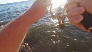 Летняя рыбалка на Чёрном море: горбыль и барабуля в Джубге!