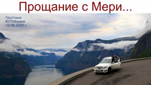 Грустные КОТоБудни или Прощание с нашей Мэри, 12.06.2025г.