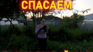 СПАСАЕМ ЗАПУЩЕННЫЙ САД