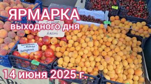 Краснодар - Ярмарка выходного дня на ул. Одесская - цены на продукты - 14 июня 2025 г.