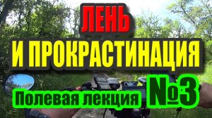 Лень и прокрастинация. Конфликт лимбики и коры. Ресурсы на действия. Богатые и бедные. Лекция 3