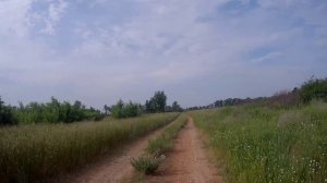 Наедине с природой. 😊
