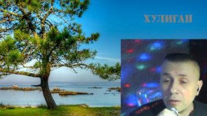 Кино сосны на морском берегу( cover)