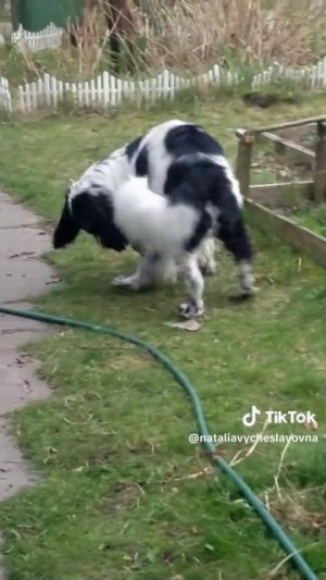 Помогатор...)))