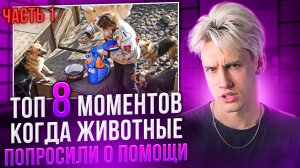 ТОП 8 МОМЕНТОВ, КОГДА ЖИВОТНЫЕ ПОПРОСИЛИ О ПОМОЩИ! ЧАСТЬ 1!