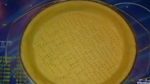 Французский лимонный тарт