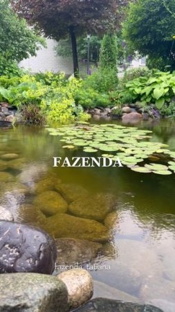 Все про сад и огород ➡️ https://t.me/fazenda_tatiana